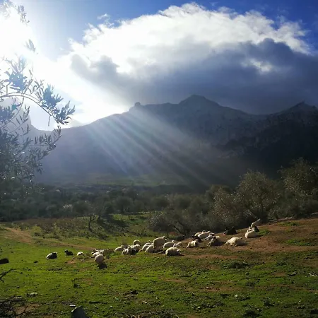 Sardegna Country House Casa di campagna