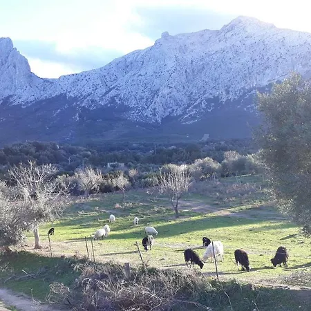Sardegna Country House * Oliena