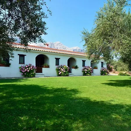 Casa di campagna Sardegna Country House *