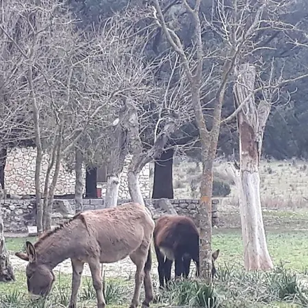 Casa di campagna Sardegna Country House