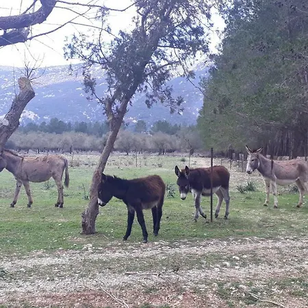 Sardegna Country House Oliena